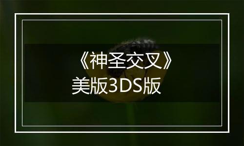 《神圣交叉》美版3DS版