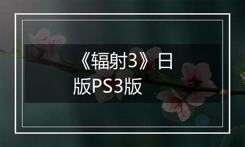 《辐射3》日版PS3版