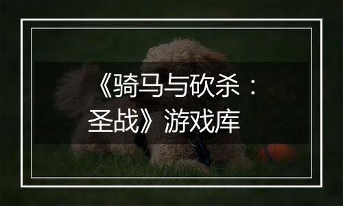 《骑马与砍杀：圣战》游戏库