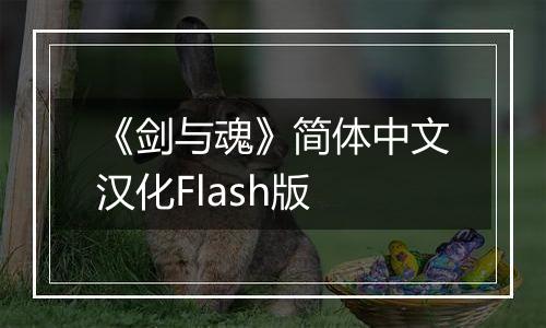 《剑与魂》简体中文汉化Flash版