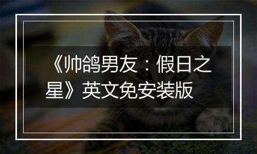 《帅鸽男友：假日之星》英文免安装版
