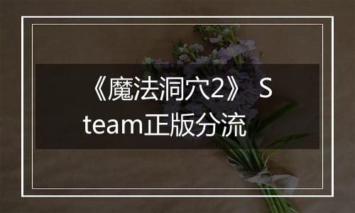 《魔法洞穴2》 Steam正版分流