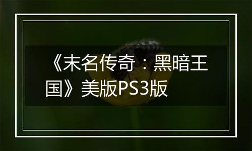 《末名传奇：黑暗王国》美版PS3版