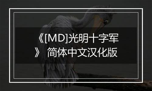 《[MD]光明十字军》 简体中文汉化版