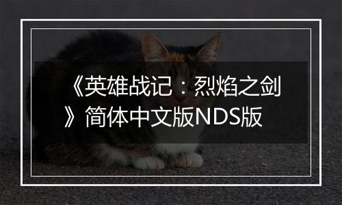 《英雄战记：烈焰之剑》简体中文版NDS版