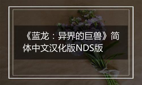 《蓝龙：异界的巨兽》简体中文汉化版NDS版