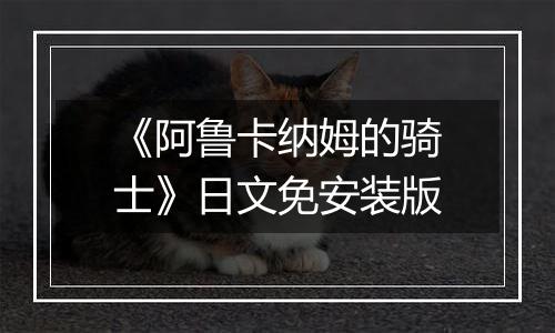 《阿鲁卡纳姆的骑士》日文免安装版