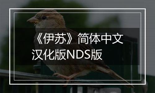 《伊苏》简体中文汉化版NDS版