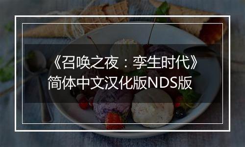 《召唤之夜：孪生时代》简体中文汉化版NDS版