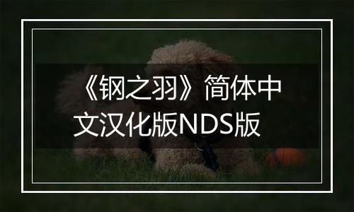 《钢之羽》简体中文汉化版NDS版