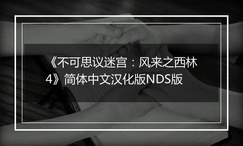 《不可思议迷宫：风来之西林4》简体中文汉化版NDS版