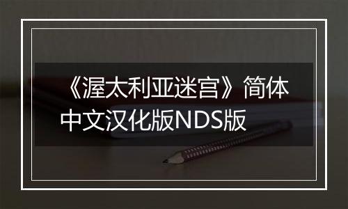 《渥太利亚迷宫》简体中文汉化版NDS版