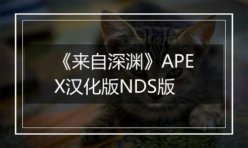《来自深渊》APEX汉化版NDS版