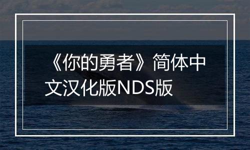 《你的勇者》简体中文汉化版NDS版