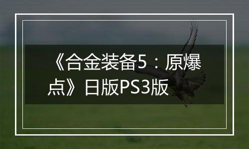 《合金装备5：原爆点》日版PS3版