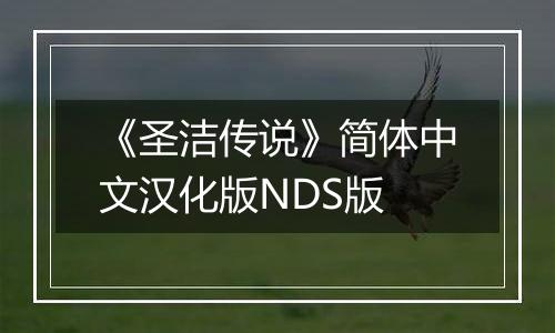 《圣洁传说》简体中文汉化版NDS版