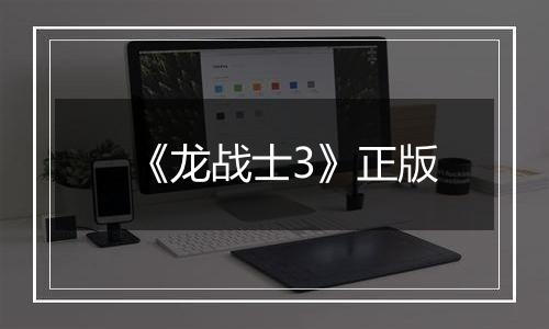 《龙战士3》正版