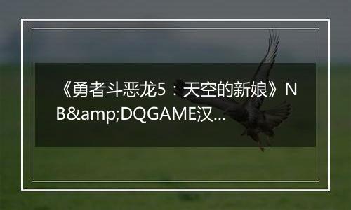 《勇者斗恶龙5：天空的新娘》NB&DQGAME汉化版NDS版