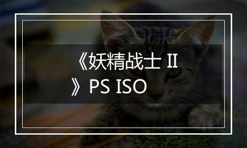《妖精战士 II》PS ISO
