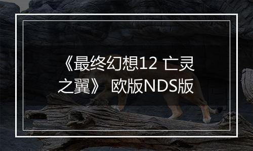《最终幻想12 亡灵之翼》 欧版NDS版