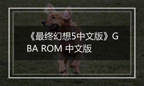 《最终幻想5中文版》GBA ROM 中文版