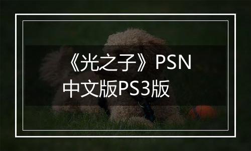 《光之子》PSN中文版PS3版