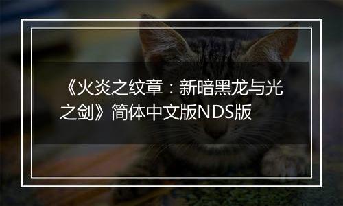 《火炎之纹章：新暗黑龙与光之剑》简体中文版NDS版