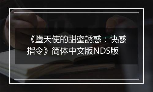 《墮天使的甜蜜誘惑：快感指令》简体中文版NDS版