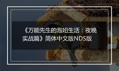 《万能先生的泡妞生活：夜晚实战篇》简体中文版NDS版