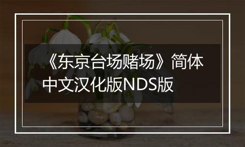 《东京台场赌场》简体中文汉化版NDS版