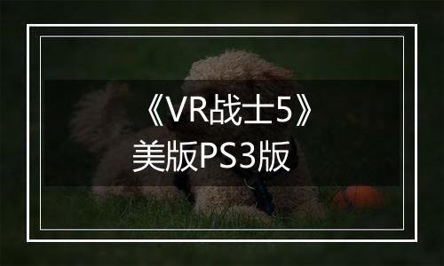 《VR战士5》美版PS3版