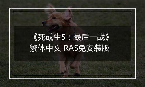 《死或生5：最后一战》 繁体中文 RAS免安装版