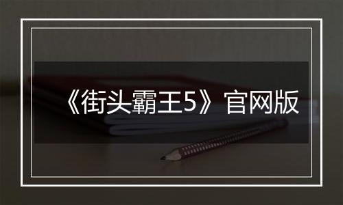 《街头霸王5》官网版