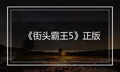 《街头霸王5》正版