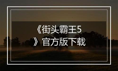 《街头霸王5》官方版下载