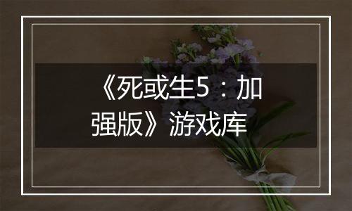 《死或生5：加强版》游戏库