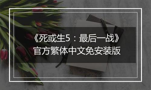 《死或生5：最后一战》 官方繁体中文免安装版