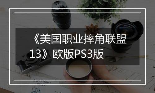 《美国职业摔角联盟13》欧版PS3版
