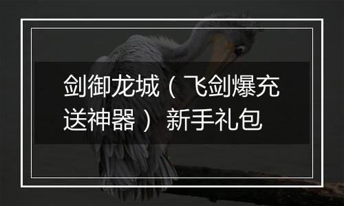 剑御龙城（飞剑爆充送神器） 新手礼包