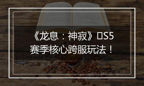 《龙息：神寂》​S5赛季核心跨服玩法！