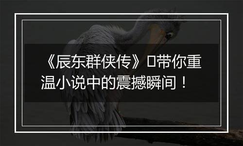 《辰东群侠传》​带你重温小说中的震撼瞬间！