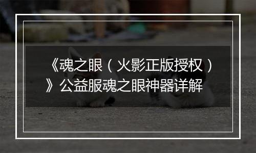 《魂之眼（火影正版授权）》公益服魂之眼神器详解