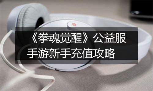 《拳魂觉醒》公益服手游新手充值攻略