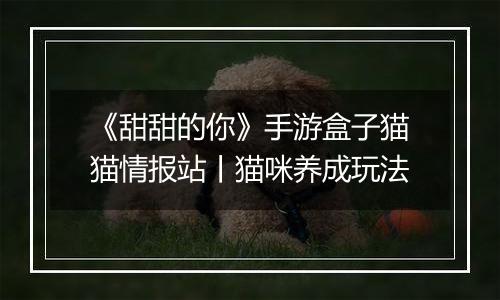 《甜甜的你》手游盒子猫猫情报站丨猫咪养成玩法