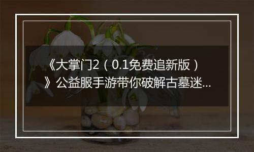 《大掌门2（0.1免费追新版）》公益服手游带你破解古墓迷云 攻略出炉
