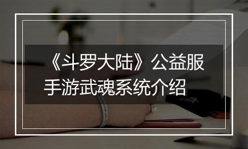 《斗罗大陆》公益服手游武魂系统介绍
