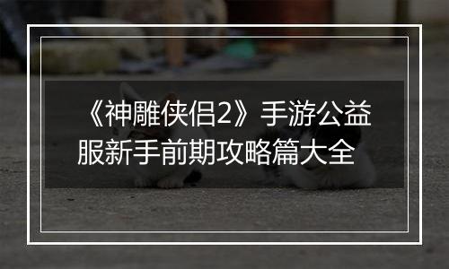 《神雕侠侣2》手游公益服新手前期攻略篇大全