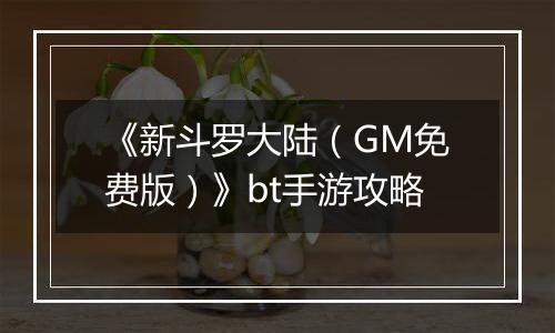 《新斗罗大陆（GM免费版）》bt手游攻略