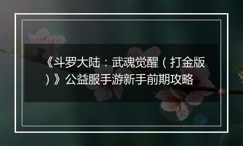 《斗罗大陆：武魂觉醒（打金版）》公益服手游新手前期攻略