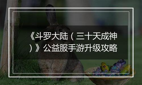 《斗罗大陆（三十天成神）》公益服手游升级攻略